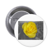 Yellow Rose In The Mist Pinback Button
