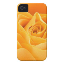 Yellow Rose iPhone 4 Cases