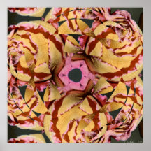 Yellow Rose Jan 2013 Poster