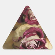 Yellow Rose...JPG Triangle Sticker