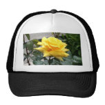 Yellow Rose of Texas Trucker Hats