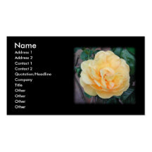 Yellow Rose, on black background. Business Card Templates