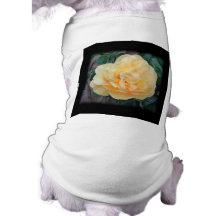 Yellow Rose, on black background. Dog Clothes