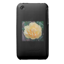 Yellow Rose, on black background. iPhone 3 Cases