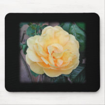 Yellow Rose, on black background. Mouse Pad