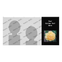 Yellow Rose, on black background. Photo Card Template