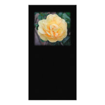Yellow Rose, on black background. Custom Photo Card