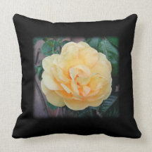 Yellow Rose, on black background. Pillow