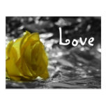 Yellow Rose On Left Side Silver Background Love Postcards
