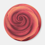 Yellow Rose Painting Art - Multi Magnets