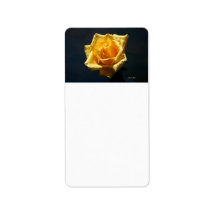 Yellow Rose photograph against dark background Personalized Address Label