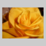 yellow rose posters