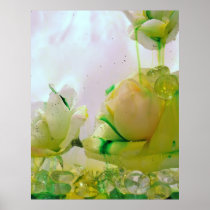 yellow rose poster