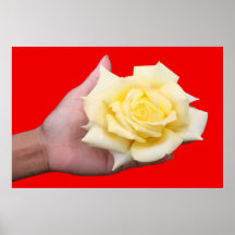 YELLOW ROSE. POSTER