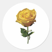 Yellow Rose Round Sticker