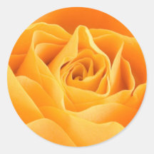 Yellow Rose Stickers