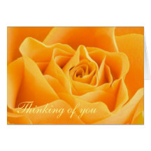 Yellow Rose thinking of you Card