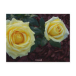 Yellow Rose tstpix postcards