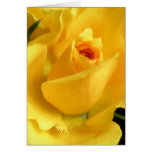 Yellow Rose Wedding Invitation cards
