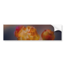 Yellow rose with pink and meaning bumper stickers