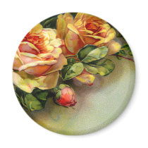 Yellow Roses Magnets