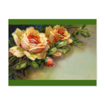 Yellow Roses Post Cards