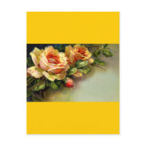 Yellow Roses Postcards
