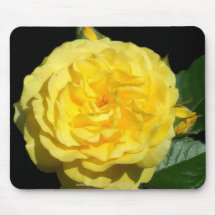 Yellow Ruffle Rose Mousepads