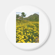 yellow scenery magnets