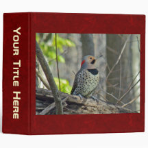 Yellow-Shafted Flicker Woodpecker Items 3 Ring Binder