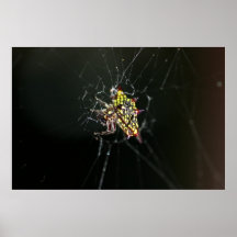 Yellow Spider Print