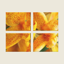 Yellow Spotted Iris canvas prints