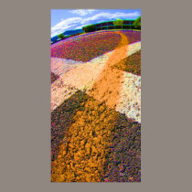Yellow Stripe affiches