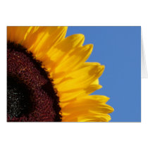 Yellow Sunflower and Blue Sky Card
