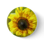 Yellow Sunflower Button