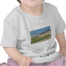 yellow Sunflower field in Portugal flowers Tshirts