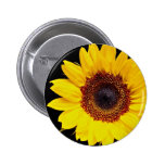 Yellow sunflower  flowers pin