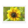 Yellow Sunflower Postcard