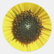 Yellow Sunflower Round Sticker