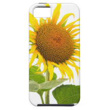 Yellow Sunflower Sun Flower Isolated iPhone 5 Cover
