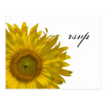 Yellow Sunflower Wedding RSVP Response Postcard