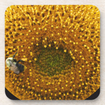 Yellow Sunflower with Honey Bee Drink Coaster