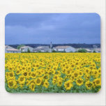 yellow Sunflowers, France flowers Mouse Pads