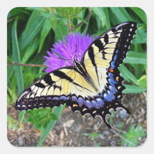 Yellow Swallowtail Butterfly Gift Sticker