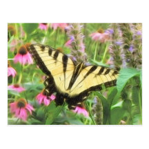 Yellow Swallowtail Butterfly in Summer Garden Post Cards