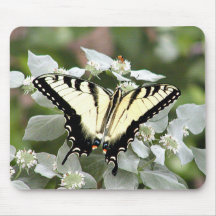 Yellow swallowtail butterfly mousepad