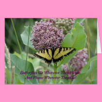 Yellow Swallowtail On Milkweed cards