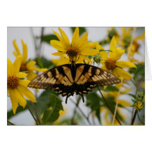 Yellow Swallowtail Yellow Flowers Greeting Card
