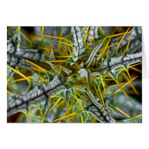 Yellow Thistle Thorns, Poster (2) Greeting Card