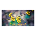 Yellow tree flowers personalized photo card